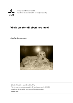 Virala orsaker - Svenska Dreverklubben