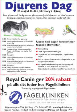 Djurens Dag 2013.pdf