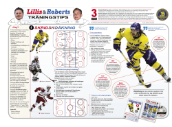 Lillis & Roberts hockeytips Del 1-8 (PDF 4,3 mb)