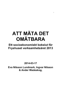 Fryshusets Socioekonomiska Bokslut 2013 – Hela rapporten