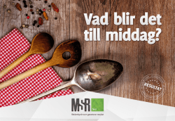 Untitled - MSR reklambyrå