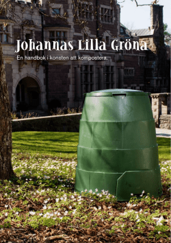 ladda ned Johannas Lilla Gröna (pdf 741k)