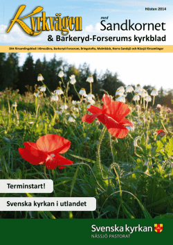 Församlingsbladet Nässjö pastorat 2014-03 hösten