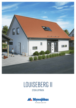 Louiseberg II (pdf , 1934kb)