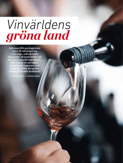 Intresset för portugisiska viner är stort just nu i Sverige