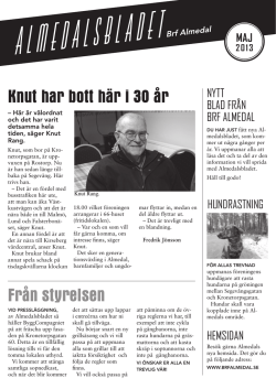 Almedalsbladet maj 2013