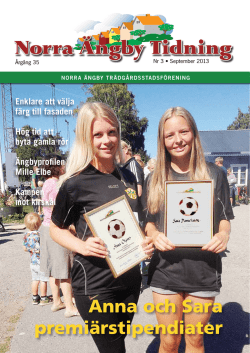 Tidning 3 2013 - Norra Ängby Trädgårdsstadsförening