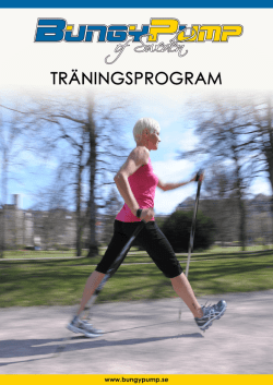 träningsprogram