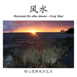 Art of Feng Shui - Suzie Picant Karlstad Day Spa
