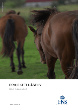 Rapport från projektet Hästliv - Hästnäringens Nationella Stiftelse