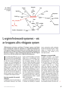 L-arginin/kväveoxid-systemet – ett av kroppens