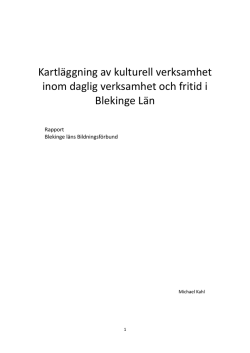 Rapport Kulturell Verksamhet.pdf