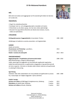 CV för Muhamed Hamidovic
