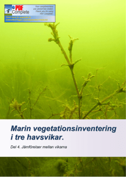 Marin vegetationsinventering i tre havsvikar.