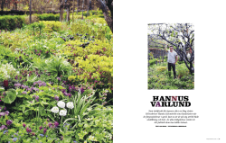 Trädgårdsliv – Hannu Sarenström, Hannus vårlund