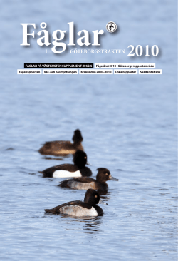 Ladda ner PDF – 2,14 MB - Göteborgs Ornitologiska Förening