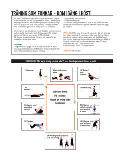 Träningsprogram (pdf)