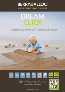Installation DreamClick Pro