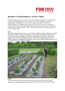Rapport provodling Svarta Vinbär rev 0111.pdf