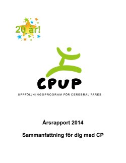 Årsrapport CPUP 2006-07-06