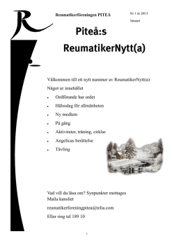 ReumatikerNytt(a) nr:1 2013