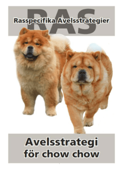 Sammanfattning av RAS…