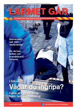 Larmet går 2014.pdf