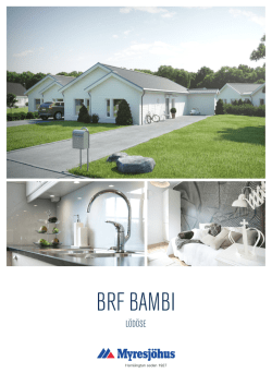 Brf Bambi (pdf , 3941kb)
