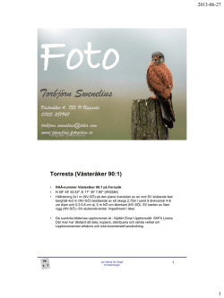 Presentation Fornminnen 20130617.pdf