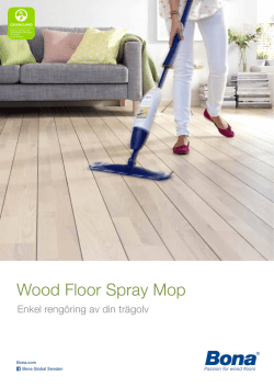 Wood Floor Spray Mop