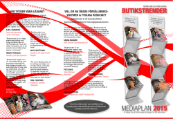 mediaplan 2015