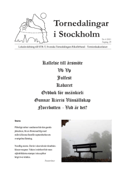 nr 2011. 04 - Tornedalingar i Stockholm