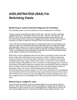 AVELSSTRATEGI (RAS) - Svenska vorstehklubben