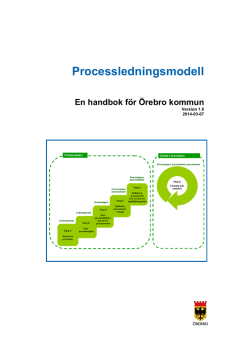 Örebro kommuns processledningsmodell