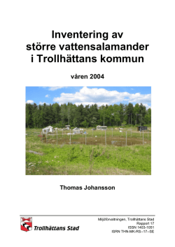 Inventering av större vattensalamander i Trollhättans kommun