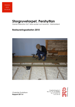 Rapport 2011-04. Restaureringsarbeten i Storgruvetorpet 2010.pdf