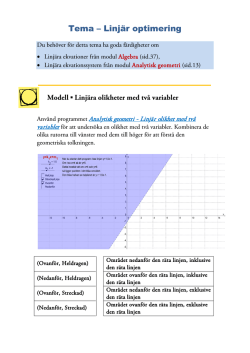 Tema - Linjär optimering.pdf