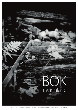 Bok i Värmland 2013