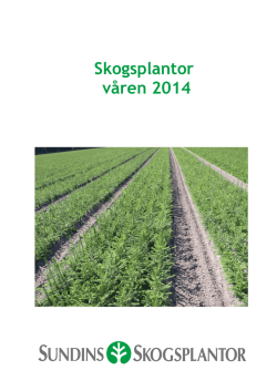 Plantbroschyr 2014 - Sundins Skogsplantor AB