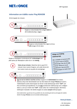 Information om trådlös router Ping RGW208