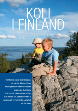Finlands mest kända landskap öppnar sig från Koli, från den högsta
