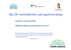 Blå ÖP med Maritim näringslivsstrategi v1-kort.pptx