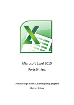 Excel 2010 grunder