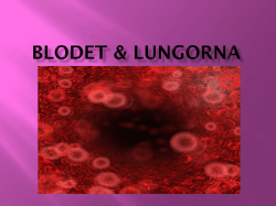 BLODET & LUNGORNA