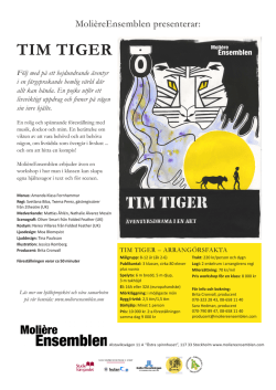 Tim Tiger utbudsblad.pdf