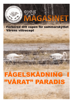 (PDF, 3.4MB) - Vitå Jaktvårdsförening
