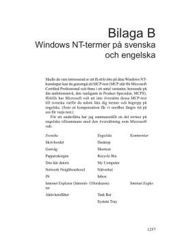 Bilaga B Windows NT-termer på svenska och engelska