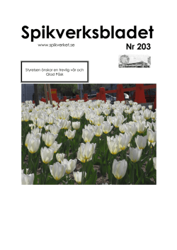 Spikverksbladet 203 mars 2014.pdf
