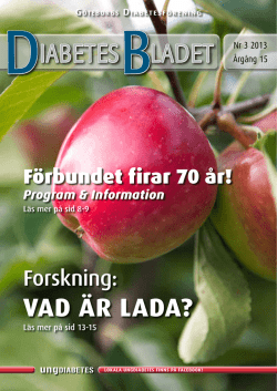 DiabetesBladet nr 3, 2013 - Göteborgs Diabetesförening
