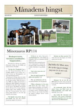 Minotauros RP 114